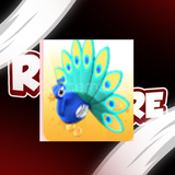 Adopt Me Peacock !