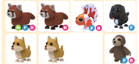 adopt me-pet paket wn ucuzu adopt me-pet paket wn ucuzu