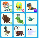 Adopt Me Pet Paketi Uygun