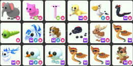 adopt me petler ıstedıgınız petı alabılırsınız