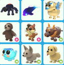 adopt me görseldeki petler