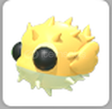 Adopt Me Puffer Fish