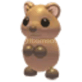 Adopt Me Quokka