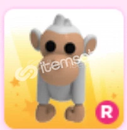 ADOPT ME R ALBİNO MONKEY FULL GROWN ADOPT ME R ALBİNO MONKEY FULL GROWN