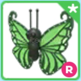 | Adopt Me | ⭐️R Green Butterfly⭐️ En Hızlısı