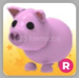 Adopt Me R Pig