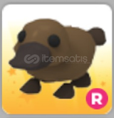 Adopt Me R Platypus