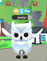 Adopt Me R Snow Owl 