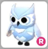 Adopt Me R Snow Owl