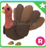 | Adopt Me | ⭐️R Turkey⭐️ En Hızlısı