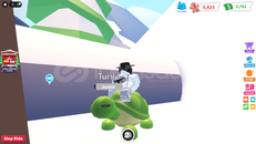 Adopt Me R Turtle (En Ucuzu)