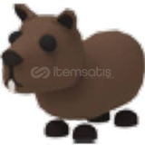 ADOPT ME RİDE CAPYBARA