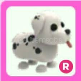 ADOPT ME RİDE DALMATİON