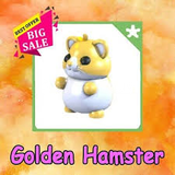 ADOPT ME RİDE GOLDEN HAMSTER