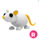 Adopt Me Ride Golden Rat En Uygunu!