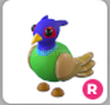 Adopt Me Ride Green-Chested Pheasant