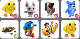 Adopt Me Ride&Normal Pet Paketi