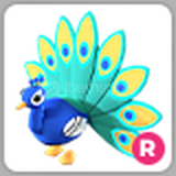 Adopt Me Ride Peacock