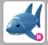 Adopt Me Ride Shark