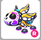 Adopt Me Ride Sugar Axolotl