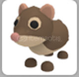 Adopt Me Shrew