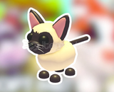 Adopt me Siamese Cat