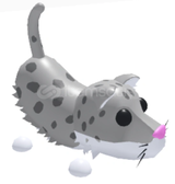 Adopt Me Snow Leopard 
