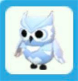 [Adopt Me] Snow Owl