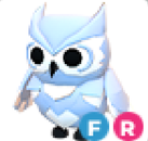 Adopt Me Snow Owl FR