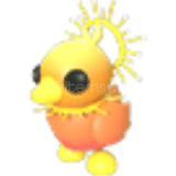 Adopt Me Sunrise Duckling