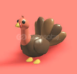 Adopt Me Turkey Pet