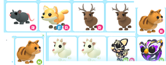 adopt me-ult rarae guzel pet paketı