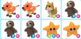 adopt me-ult rare pet paketı