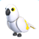 Adopt Me White Amazon En Ucuzu