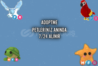 ADOPT PETLERİNİZ PİYASANIN DÜŞÜĞÜNDEN ALIM