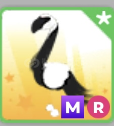 Adoptme En Uygun MR Slimingo Adoptme En Uygun MR Slimingo