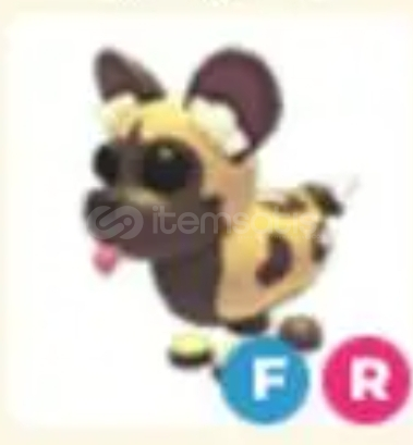 ADOPTME FR AFRİCAN WİLD DOG  ADOPTME FR AFRİCAN WİLD DOG