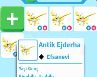 ADOPTME FR ANTİ EJDERHA  ADOPTME FR ANTİ EJDERHA