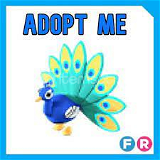 Adoptme Fr Peacock Adopt Me