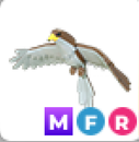 adoptme-mfr mega hawk adoptme-mfr mega hawk