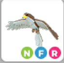adoptme-nfr hawk