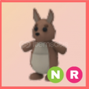 ADOPTME ✅ NR KANGAROO ✅ { HIZLI TESLİMAT } ADOPTME ✅ NR KANGAROO ✅ { HIZLI TESLİMAT }