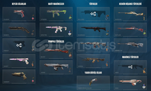 AĞZINA KADAR DOLU NADİR HESAP