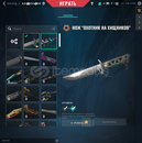 Aim Skinleri Bro Direk HS 