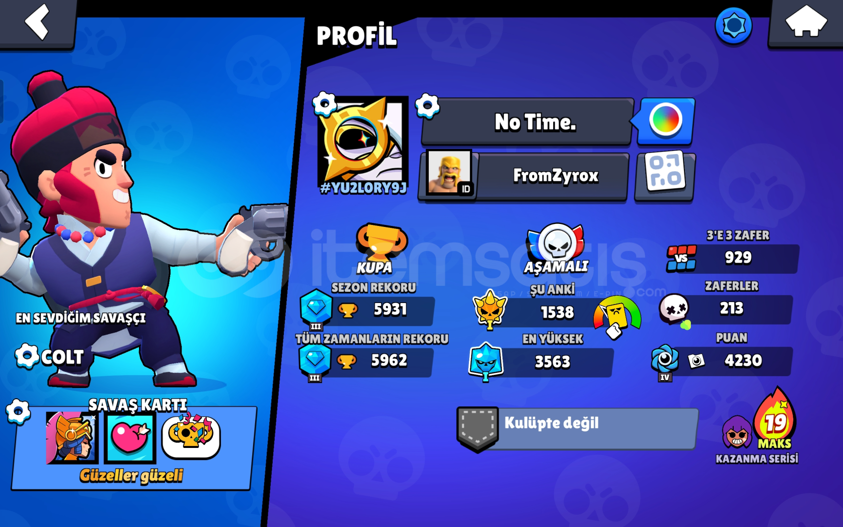 Ajan colt Ajan colt