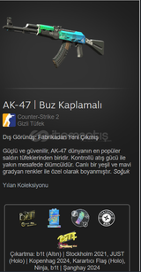 AK-47 | Buz Kaplamalı FN