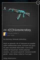 AK-47 | Frontside Misty