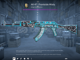AK-47 | Frontside Misty (Az Aşınmış)
