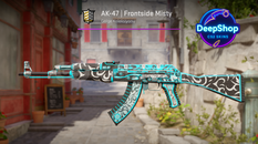 AK-47 | Frontside Misty (Field-Tested) AK-47 | Frontside Misty (Field-Tested)