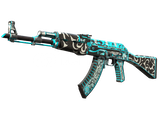 AK-47 | Frontside Misty Well Worn